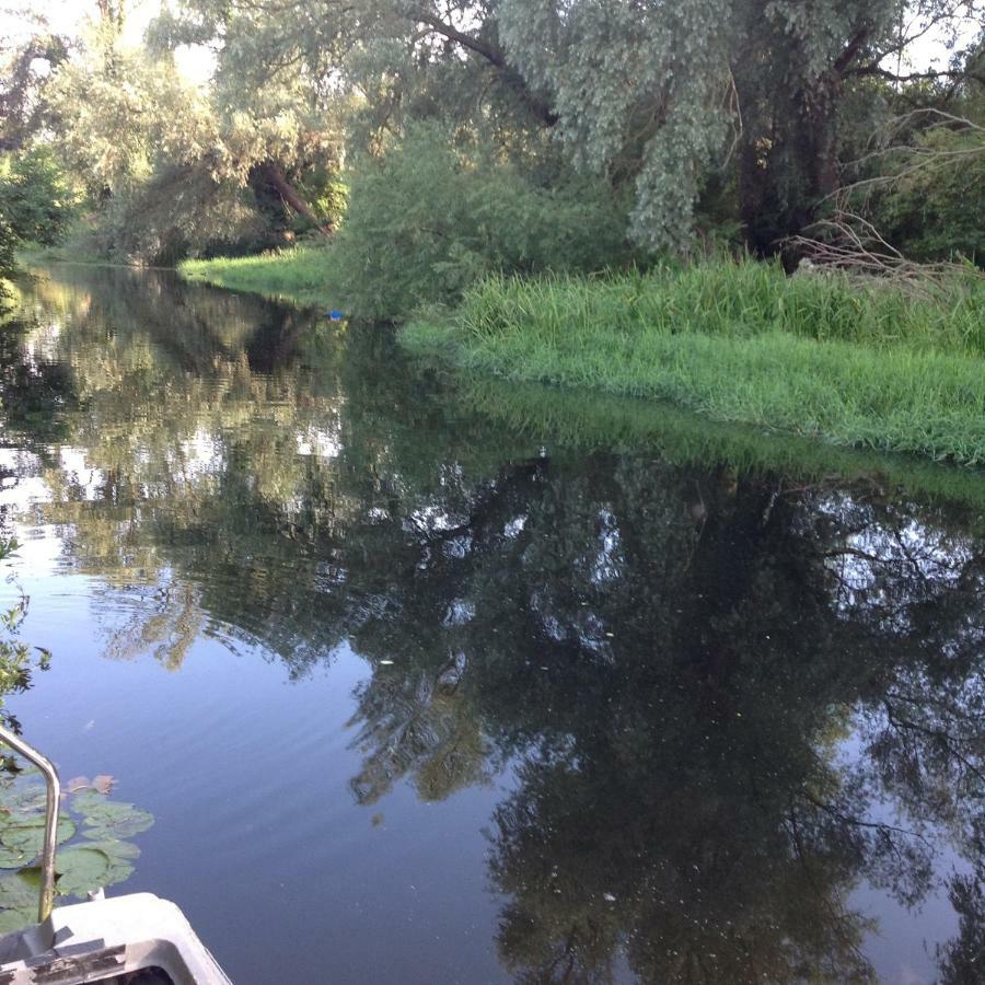 Number Forty One Bed & Breakfast Hillingdon Bagian luar foto
